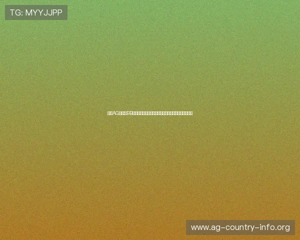 详解AG视讯与BB平台的最新技术整合方案，助力线上博彩行业创新发展