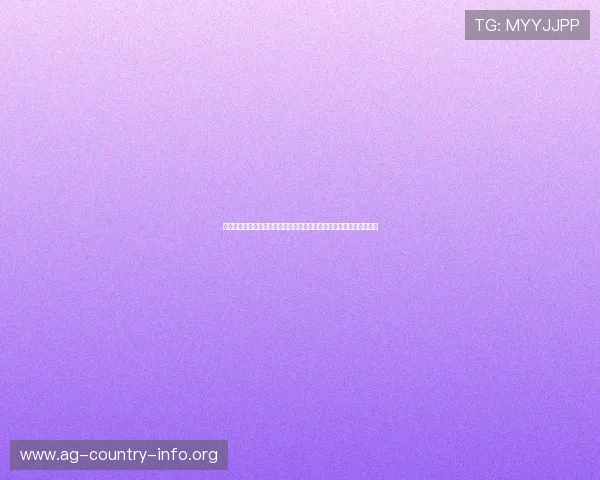 百家博国际娱乐场游戏种类全介绍:多样化娱乐内容满足不同玩家需求 百家博国际娱乐场游戏种类全介绍:多样化娱乐内容满足不同玩家需求