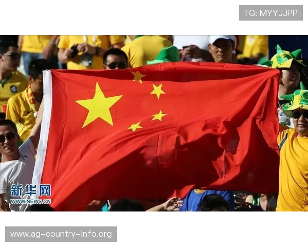 2026年世界杯比利时队与伊朗队比赛中的国旗亮相及相关文化背景介绍