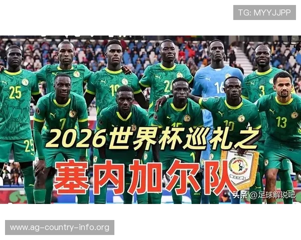 世界杯法国对阵塞内加尔比赛详细赛程表PDF下载及比赛时间安排指南